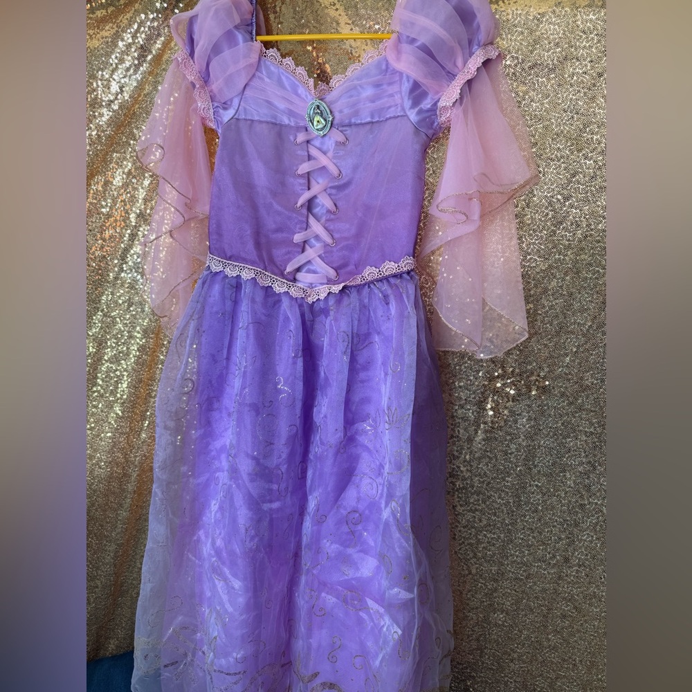 Disney Rapunzel Purple & Light Pink Princess Dress
